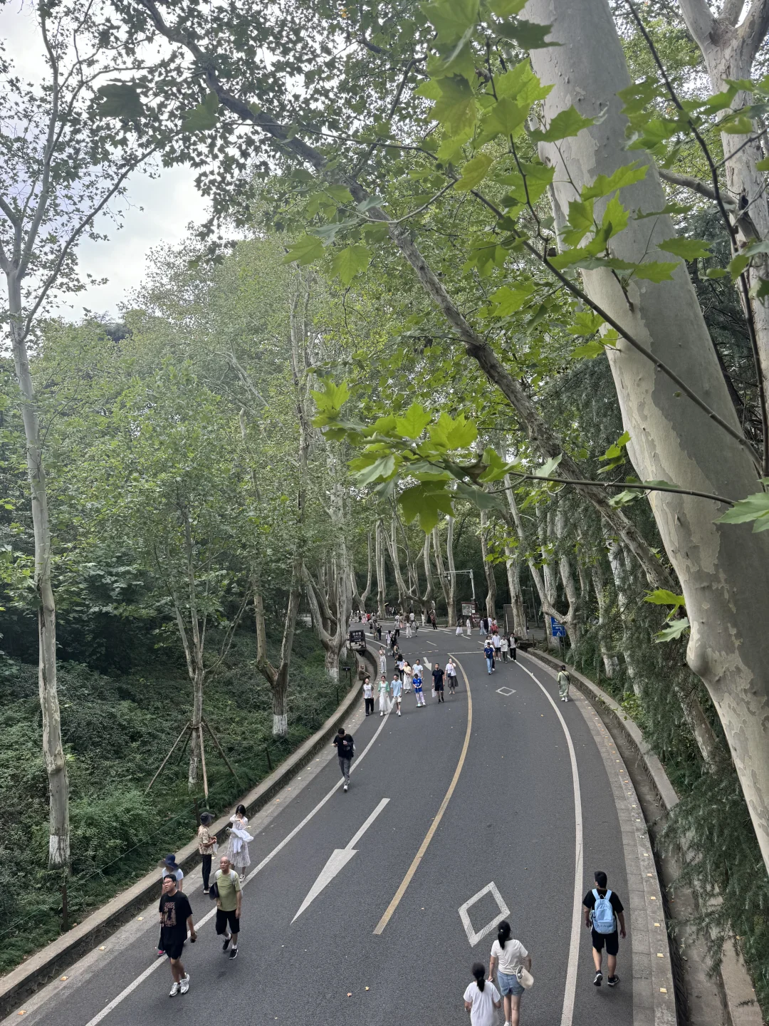 明孝陵半日游｜解锁网红大道正确打开方式