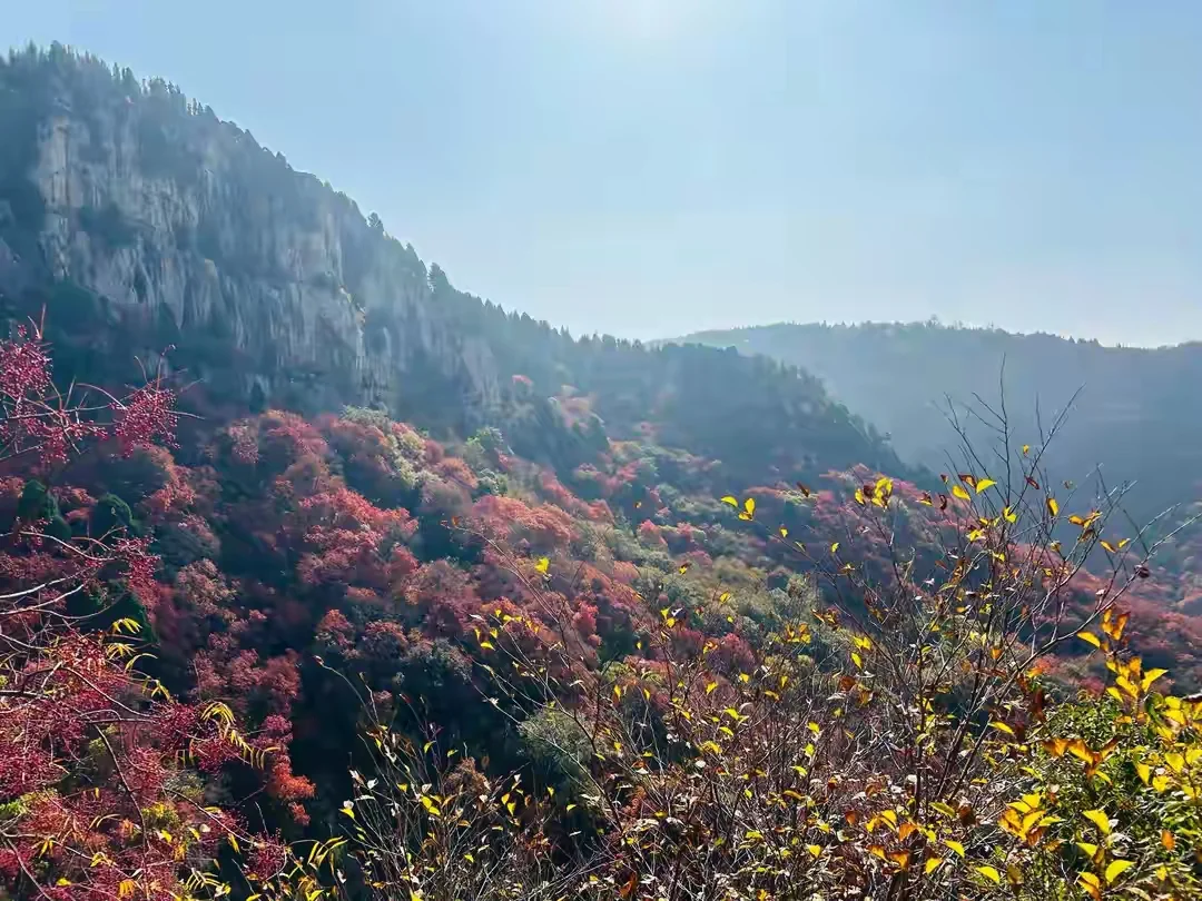 河南别只知道云台山！豫北这处秘境人少景美