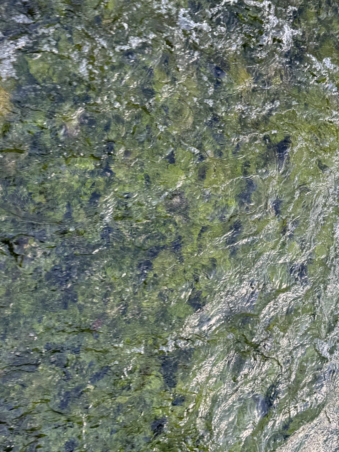 九寨沟第一天,讲真,根本不用过度追求攻略