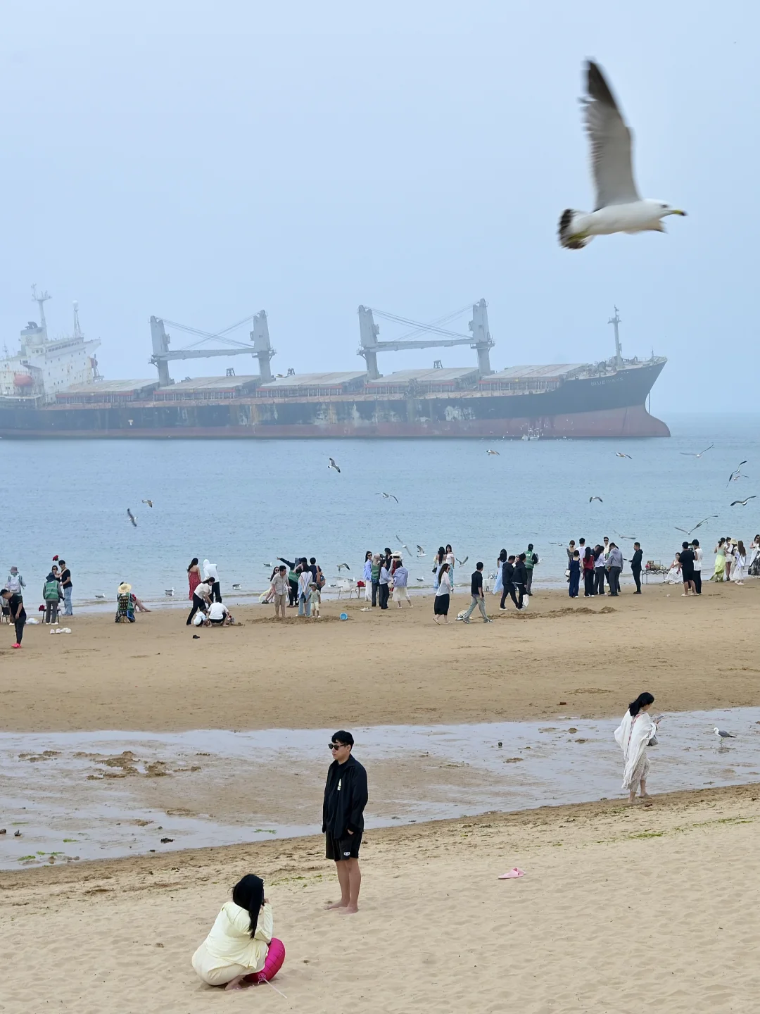 关于威海旅行，本地人想说点大实话