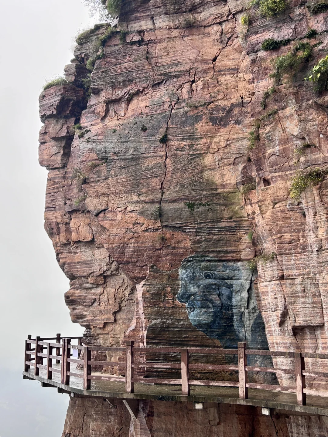 ⛰️武安·东太行｜在邯郸花的最值的一笔