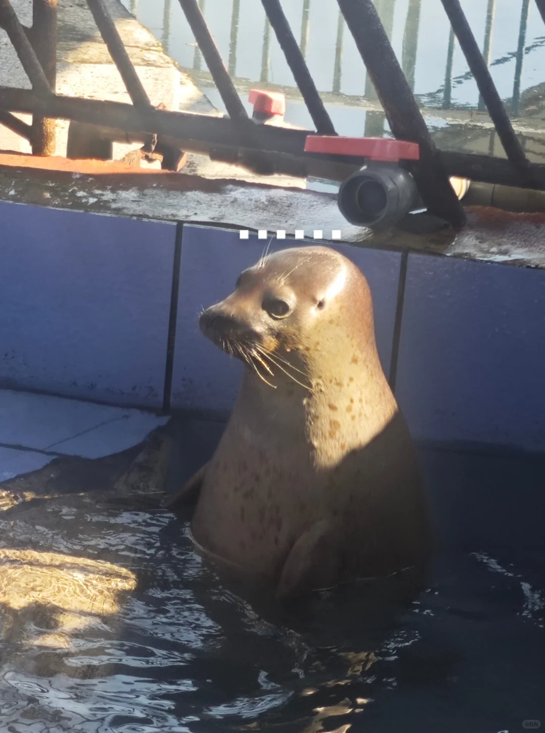 烟台不是一个旅游城市