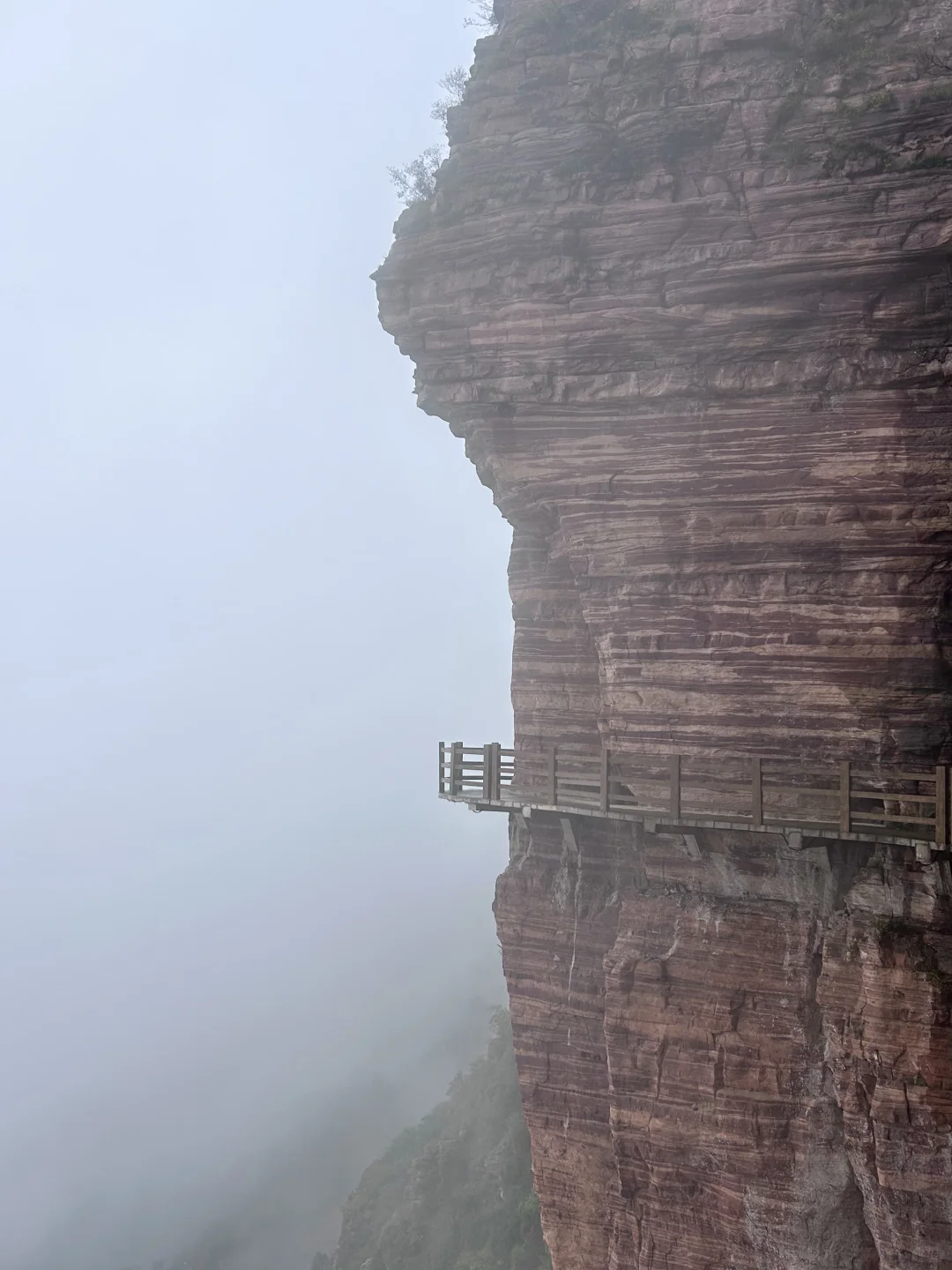 ⛰️武安·东太行｜在邯郸花的最值的一笔
