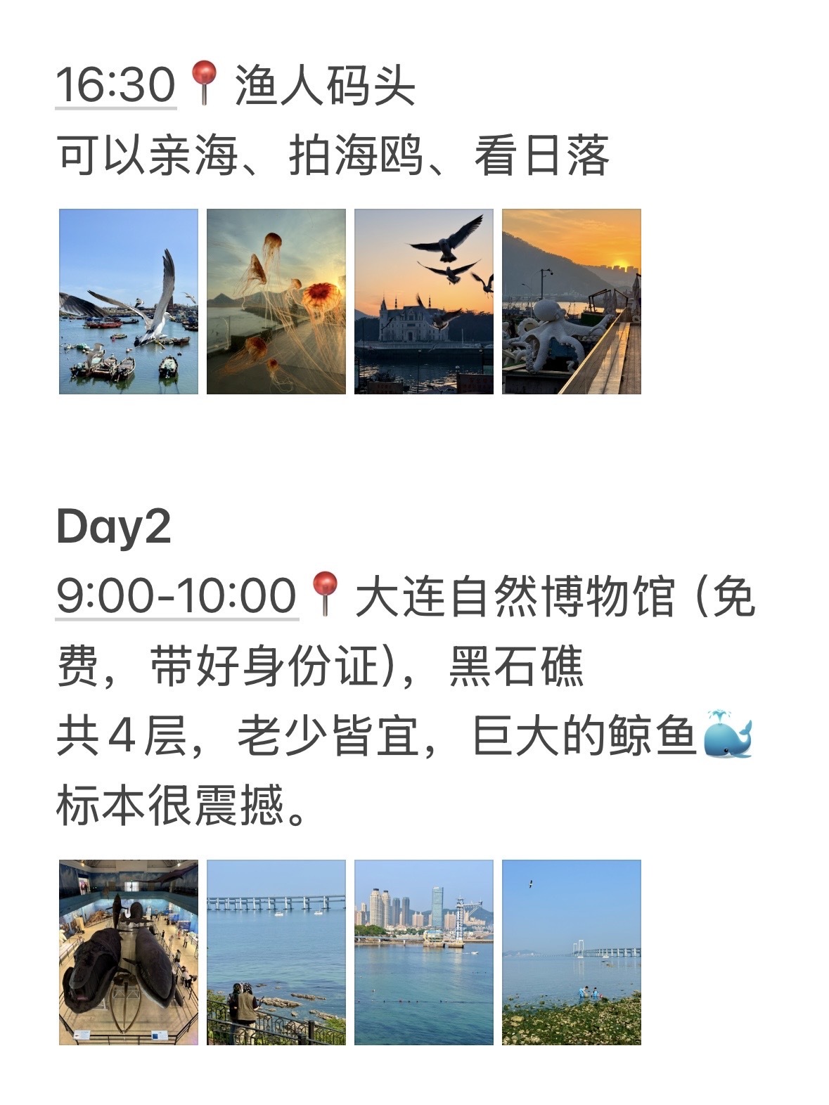 本J人对自己做的大连攻略很满意