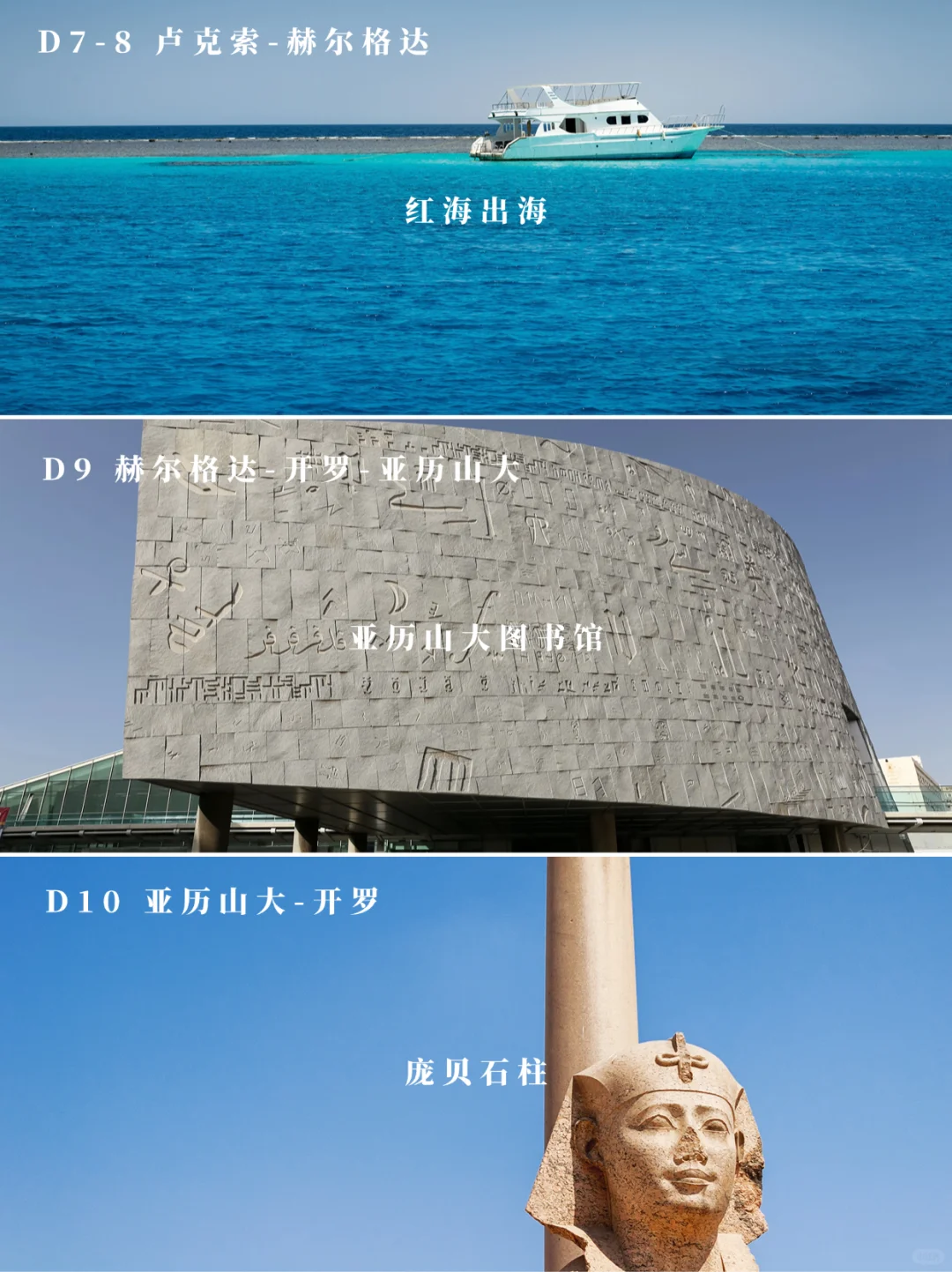 《花少》埃及也踩雷⁉️24h守着你，被骗算我输‼️