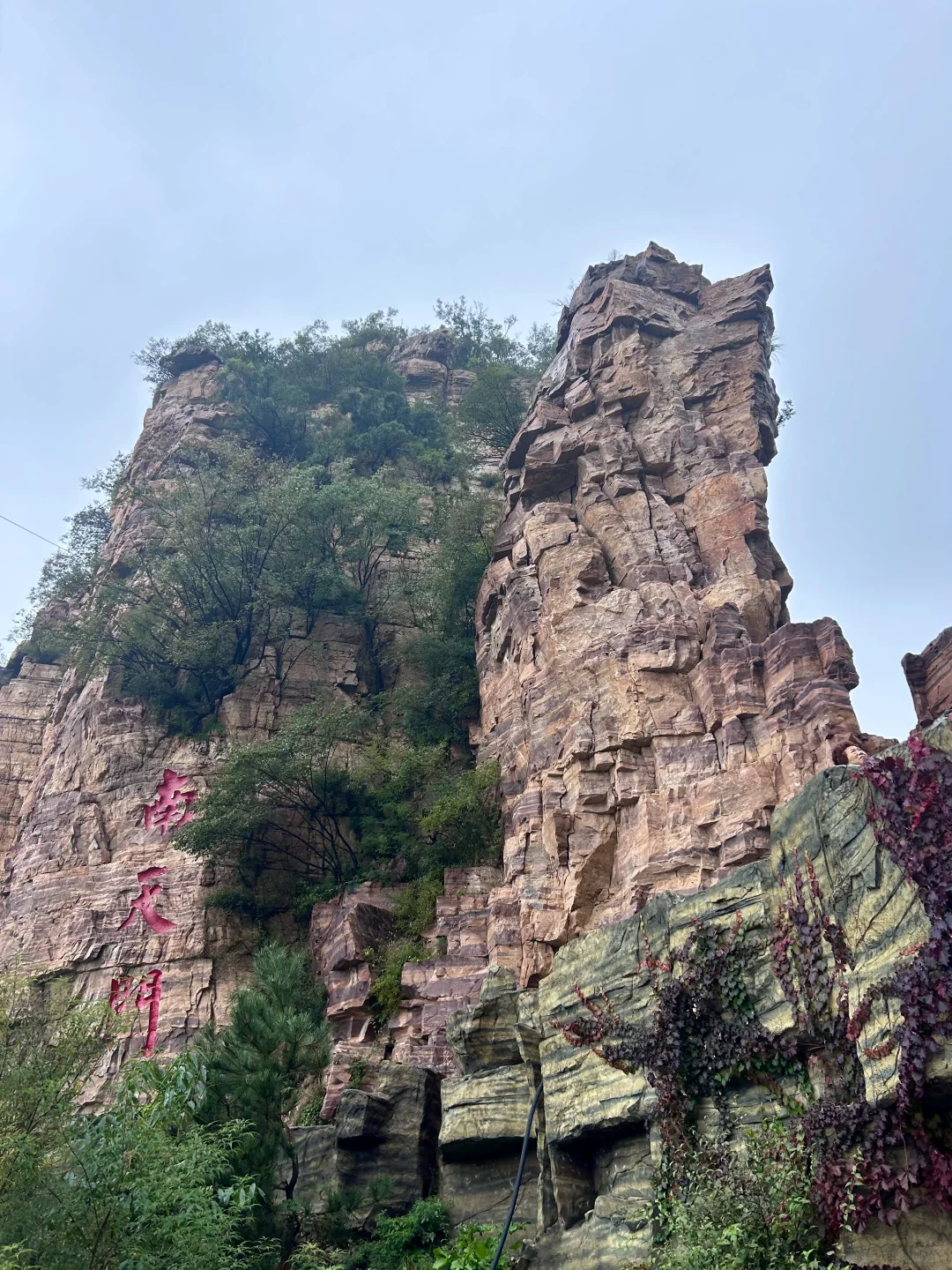 ⛰️武安·东太行｜在邯郸花的最值的一笔