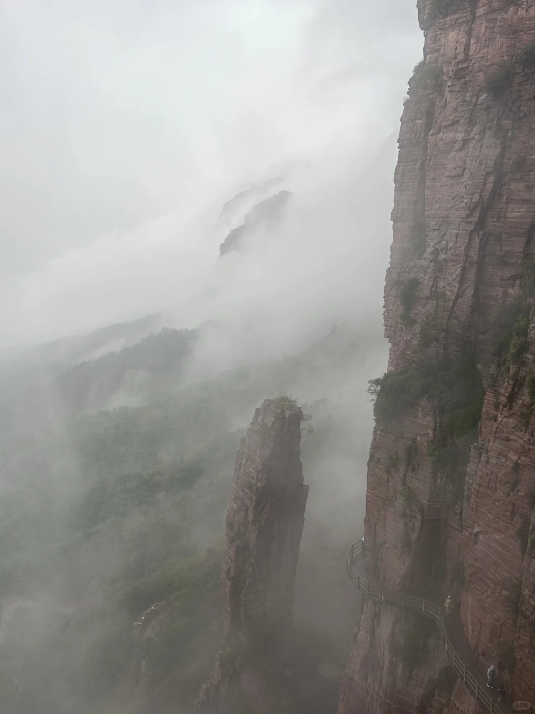 ⛰️武安·东太行｜在邯郸花的最值的一笔