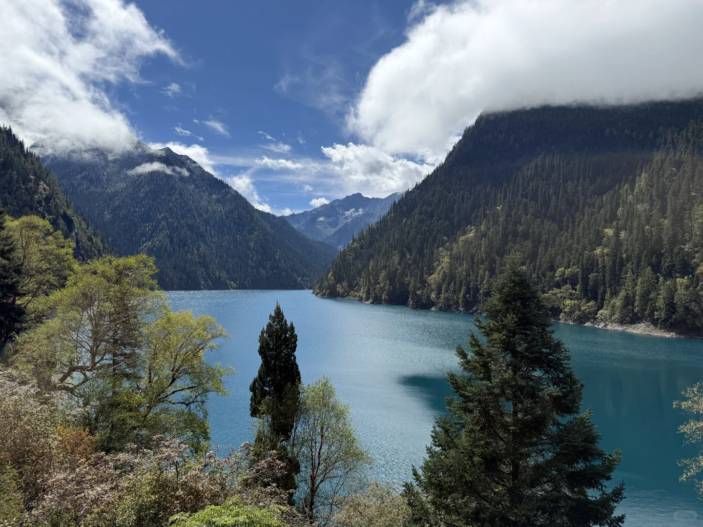 途牛旅游团 消费者维权