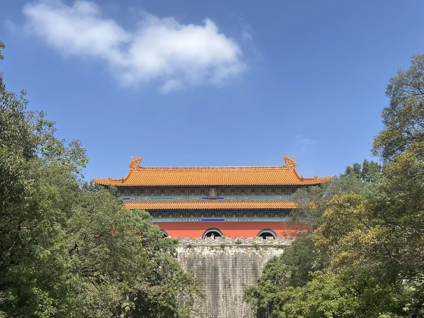 明孝陵半日游｜解锁网红大道正确打开方式