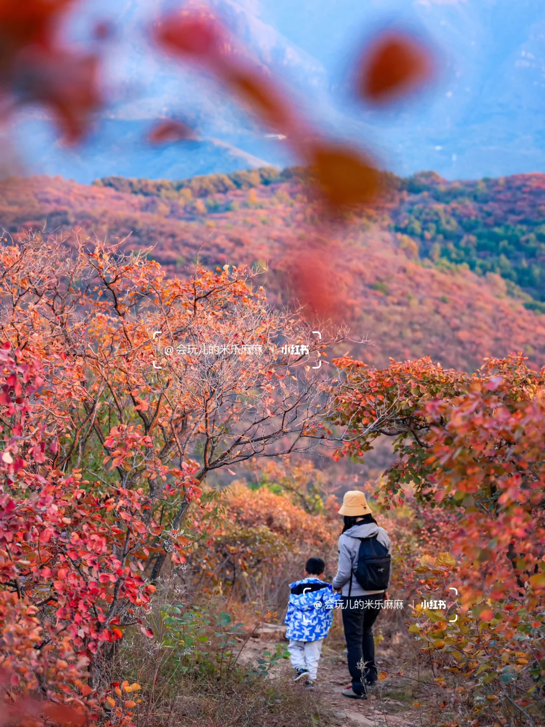 接下来北京不能错过的!亲子登山赏秋合集🍁