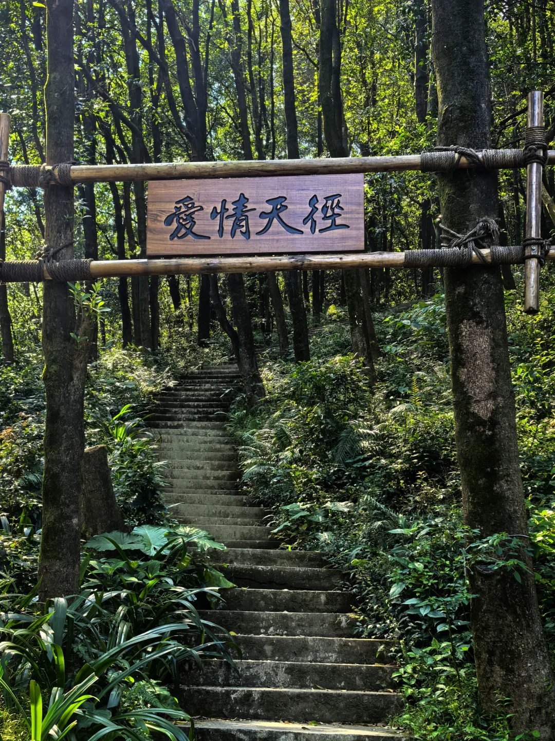 每周一山｜广州帽峰山环线徒步