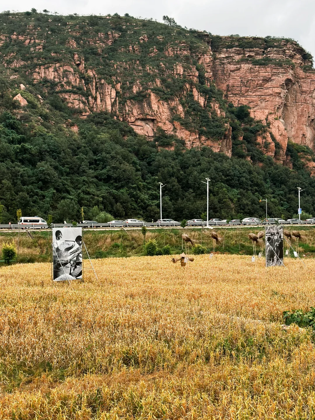 邯郸武安🍂挖到个免费遛娃的宝藏地❗️