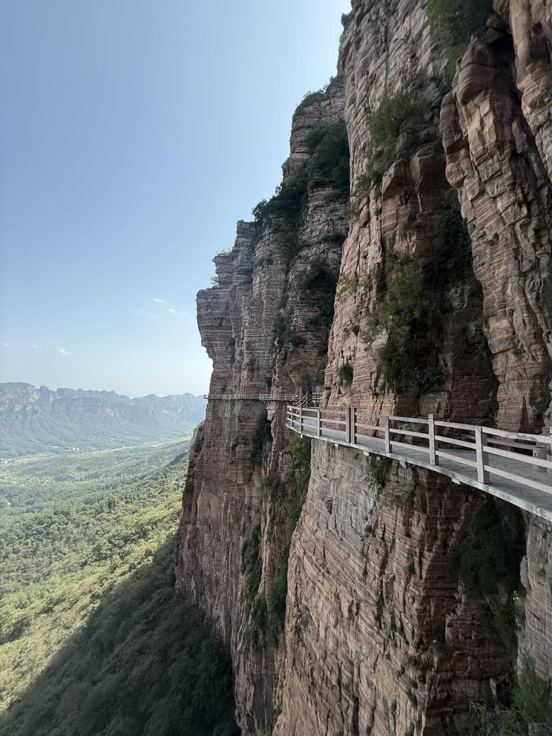 邯郸东太行政府办，臣（呸 小民）想进言