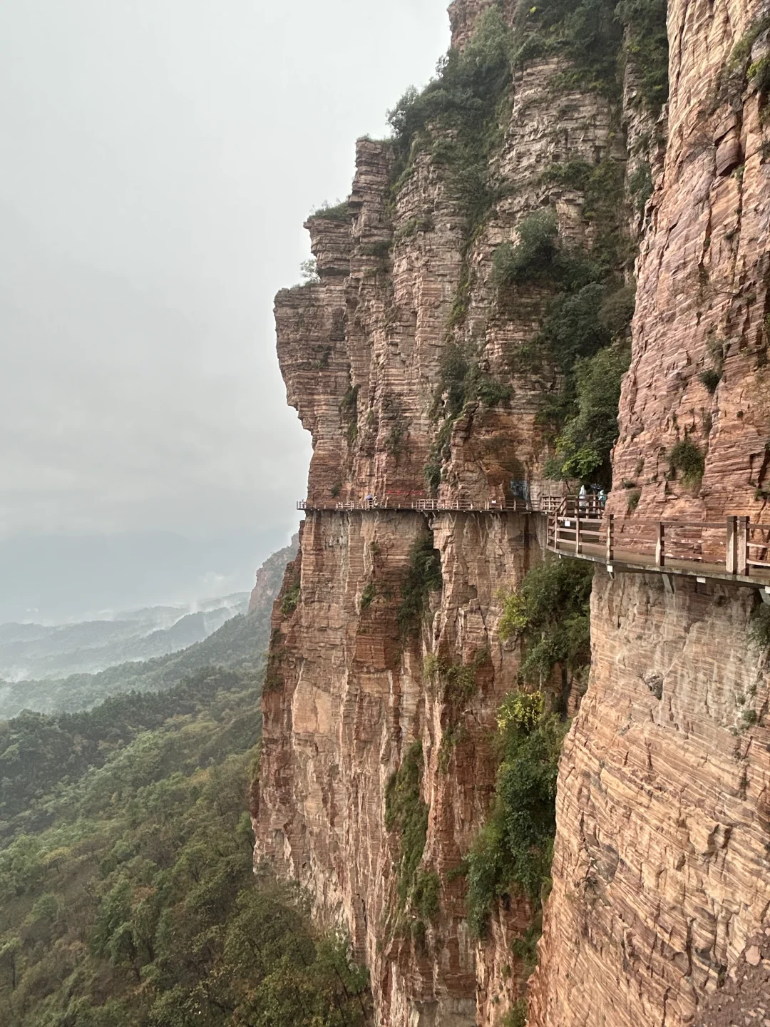 ⛰️武安·东太行｜在邯郸花的最值的一笔