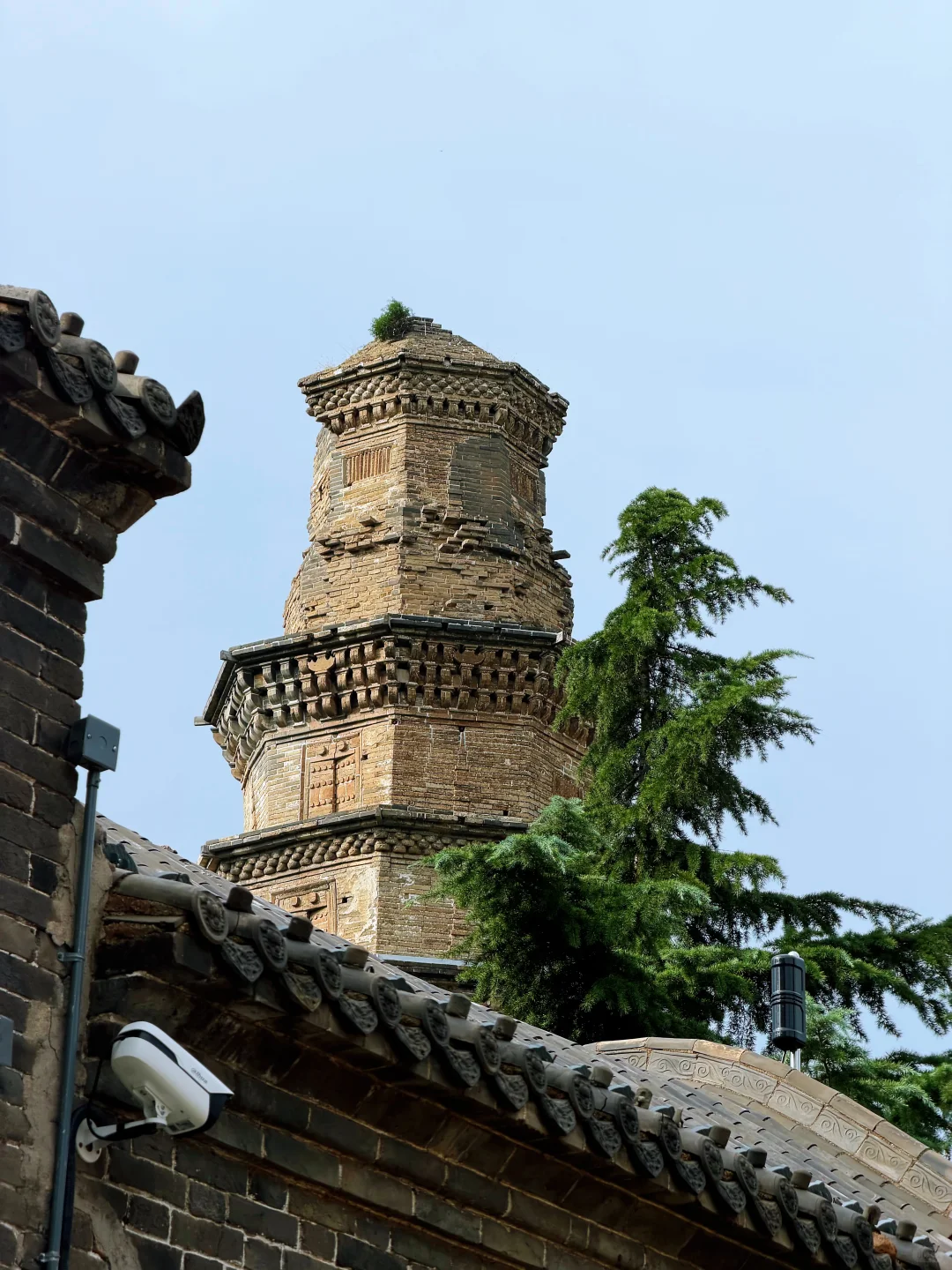 邯郸北响堂 早起的鸟儿不排队