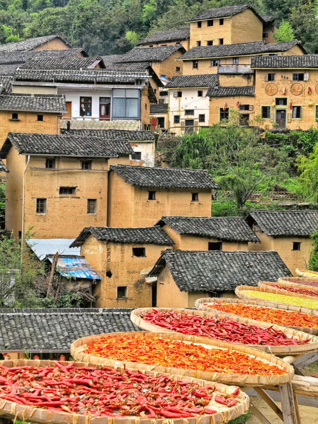 比起宏村，我更喜欢这个免费的小众隐世古村
