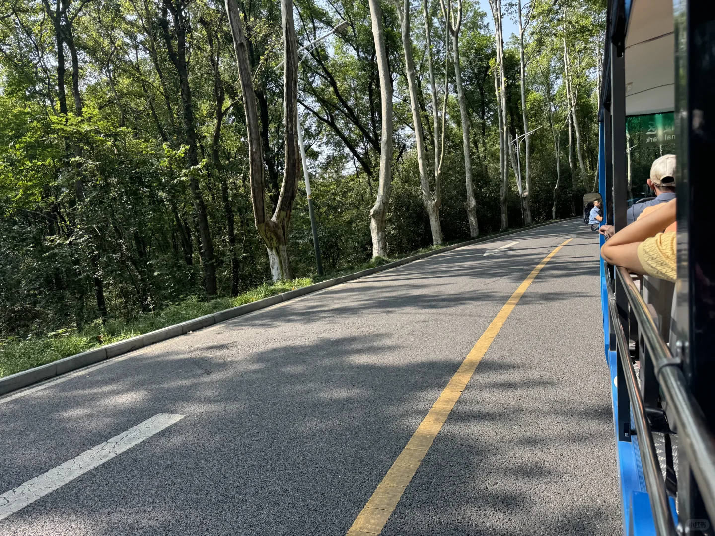 明孝陵半日游｜解锁网红大道正确打开方式
