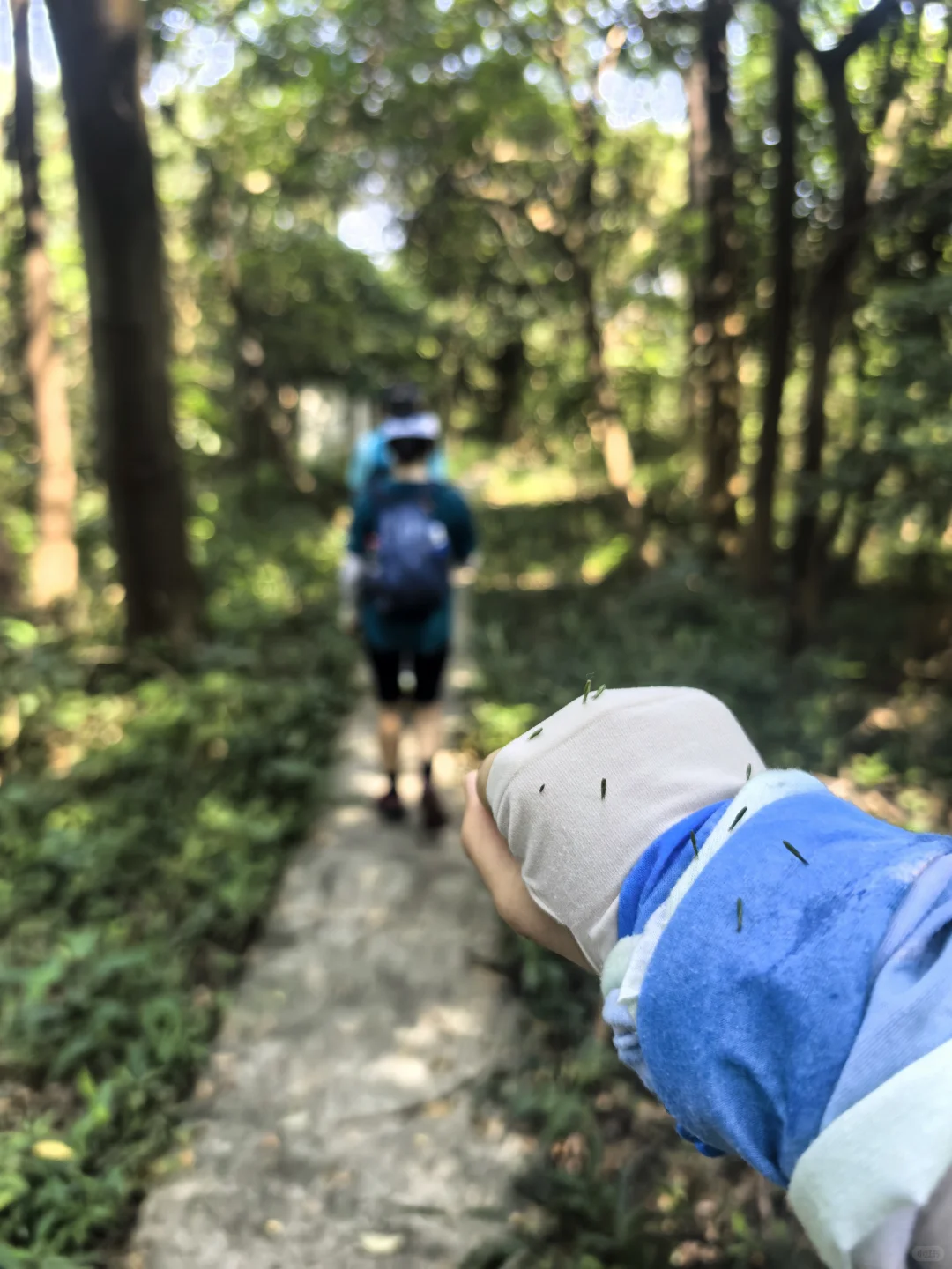 每周一山｜广州帽峰山环线徒步
