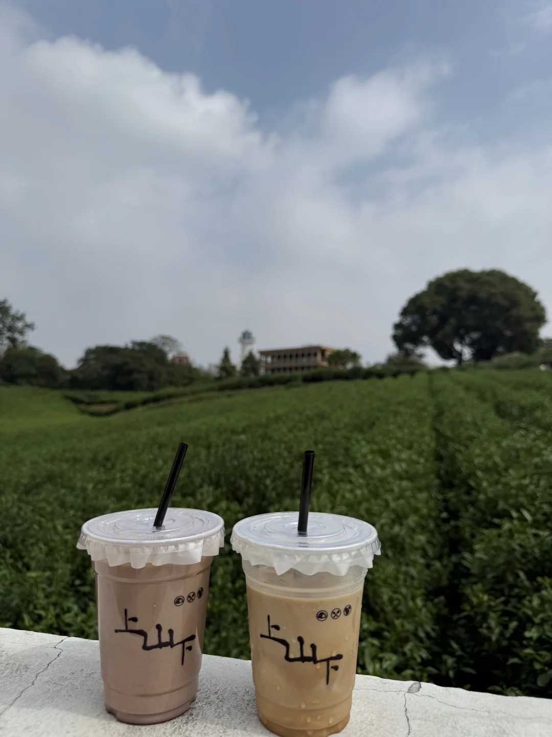 海盐丰义#上山下 放轻松～