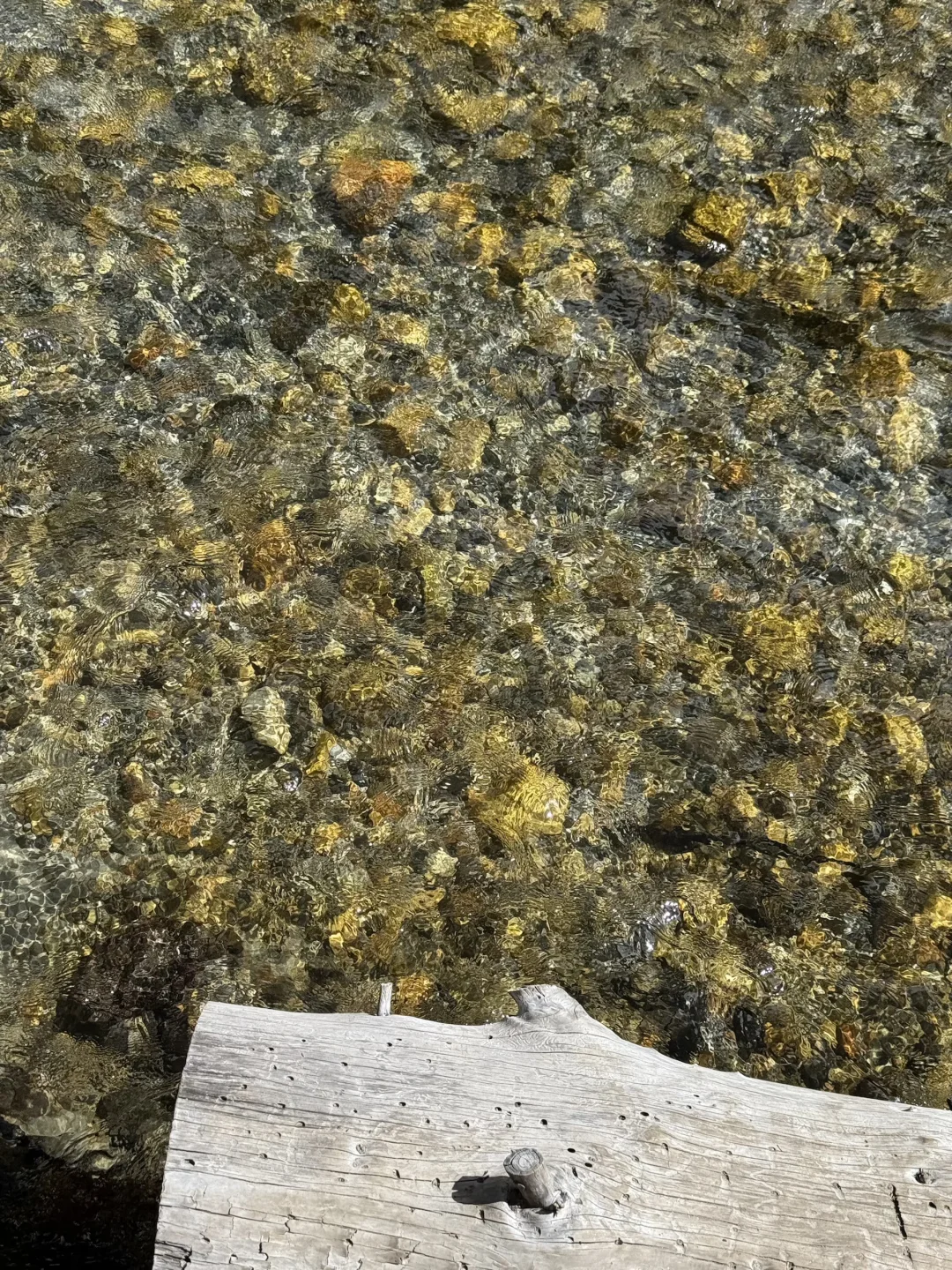 广工｜研1️⃣｜时间倒退回假期刚开始吧🥹