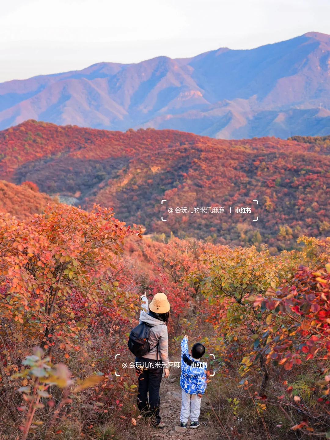 接下来北京不能错过的!亲子登山赏秋合集🍁