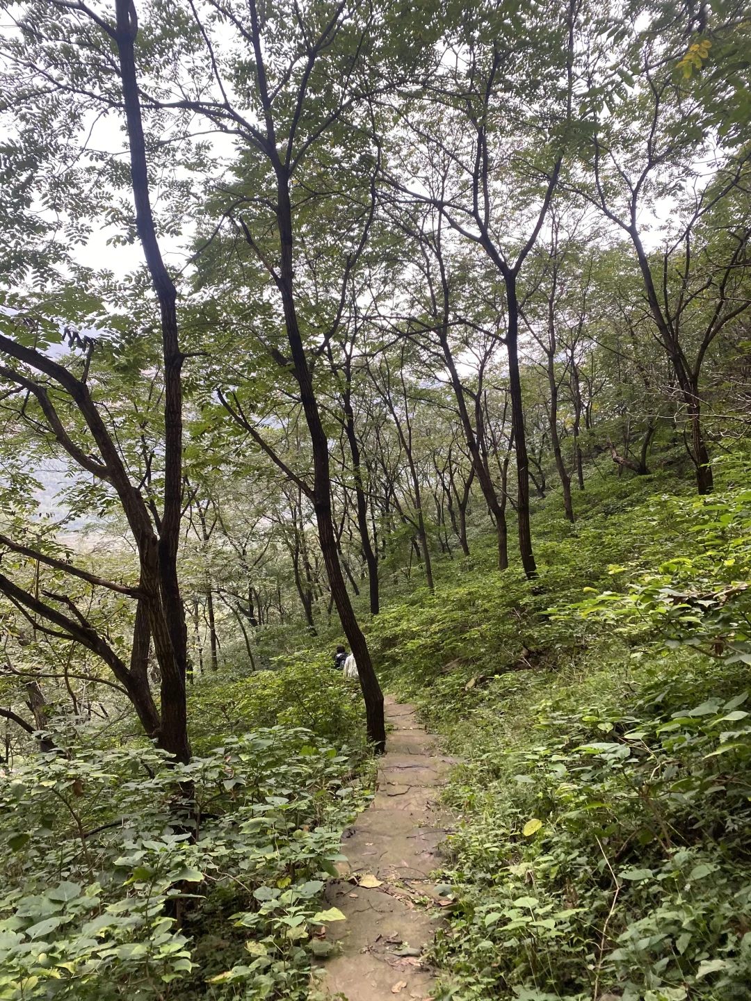 邯郸带娃户外徒步、每周一山⛰️