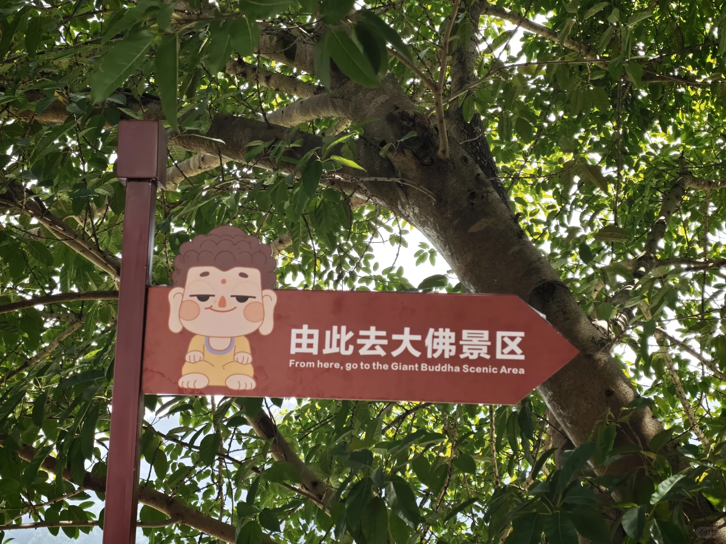 2块钱坐轮渡，快速进入乐山大佛景区北门