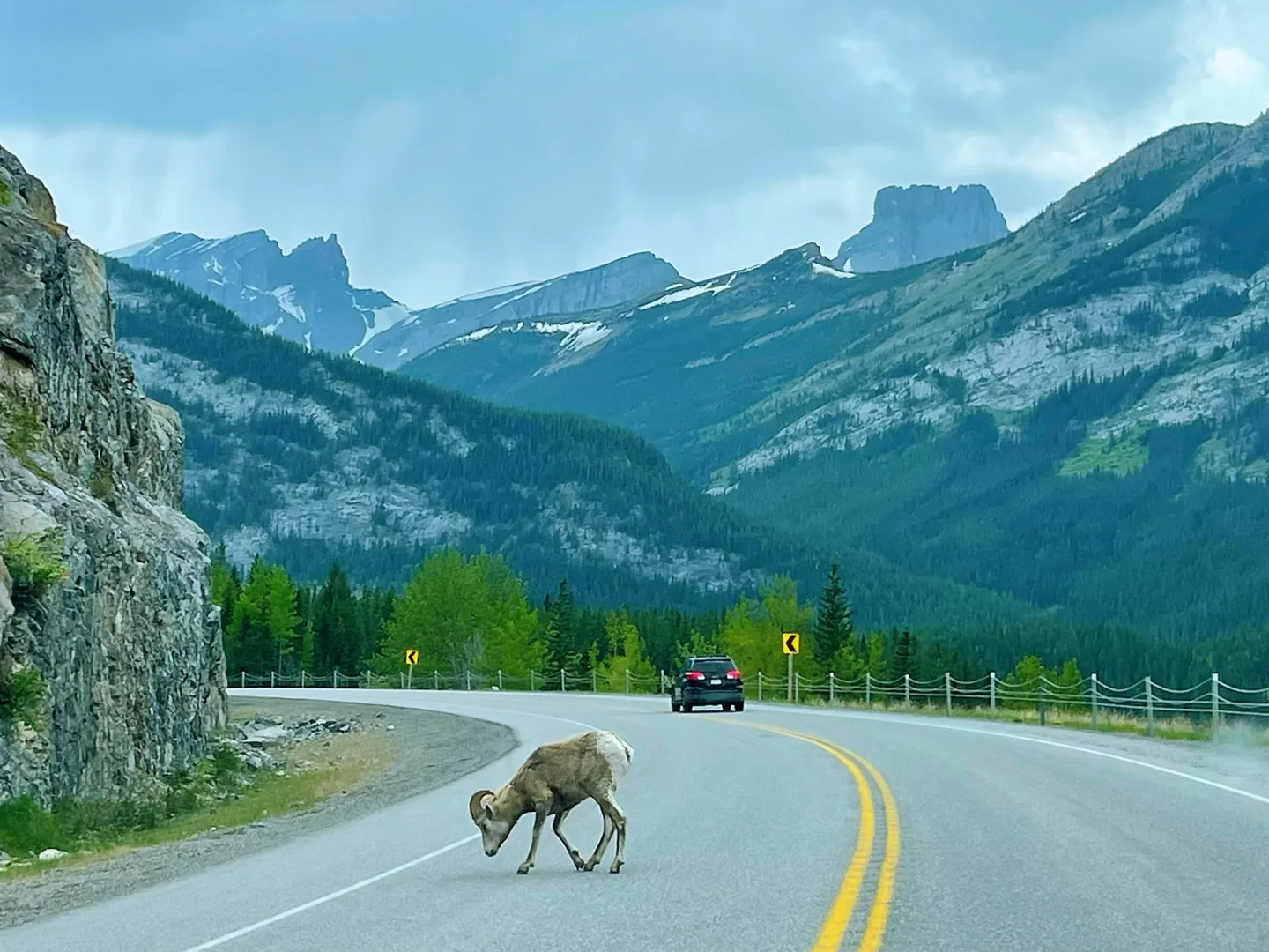 卡尔加里周边神秘吊桥｜永远相信Kananaskis