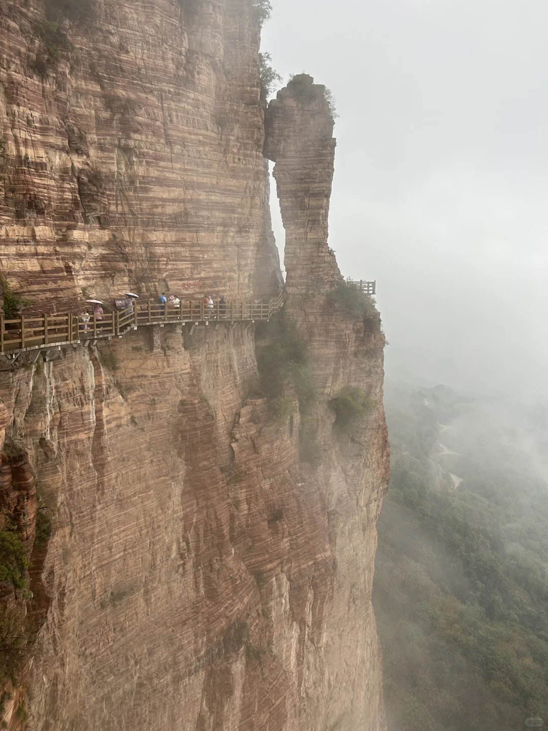 ⛰️武安·东太行｜在邯郸花的最值的一笔
