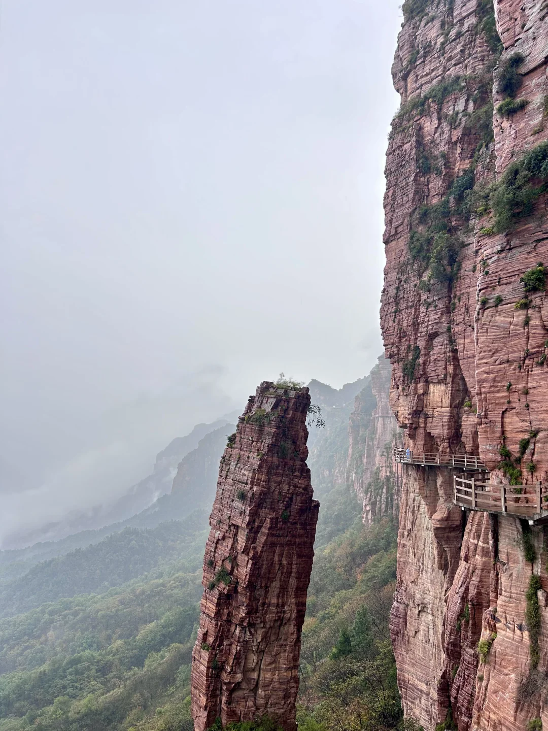 ⛰️武安·东太行｜在邯郸花的最值的一笔