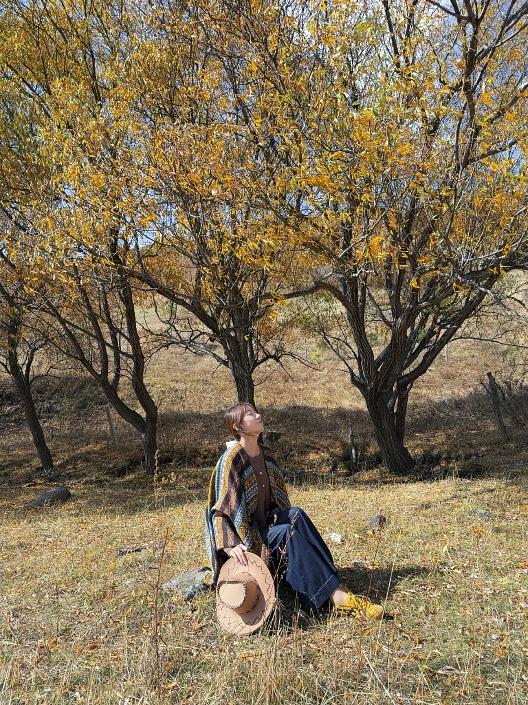 深秋 草原 自由的风 流动的云 金色的日落🍂