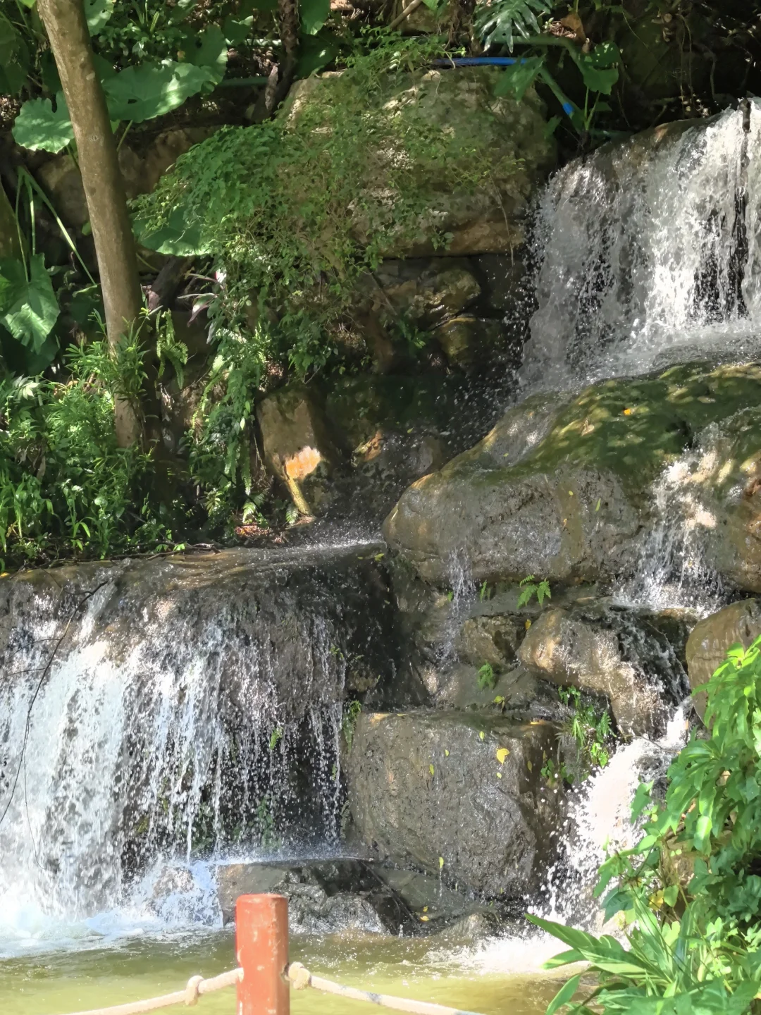 每周一山｜广州帽峰山环线徒步