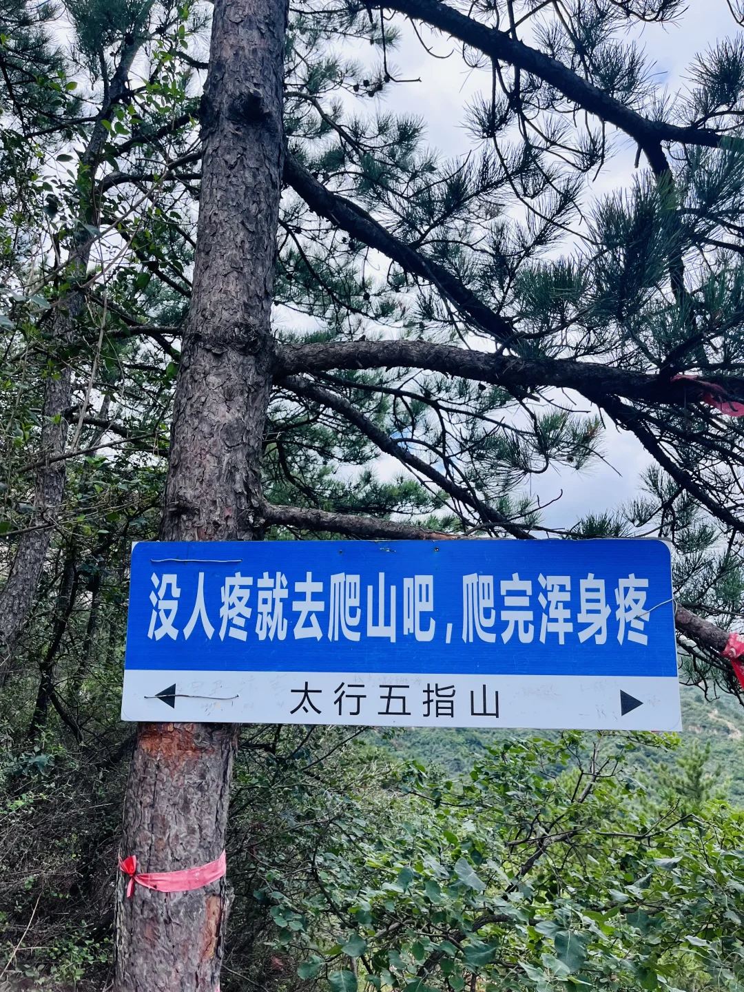 太行五指山