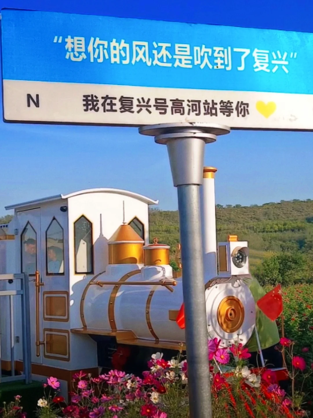 🌻邯郸秋日限定 | 闯进向日葵童话‼️