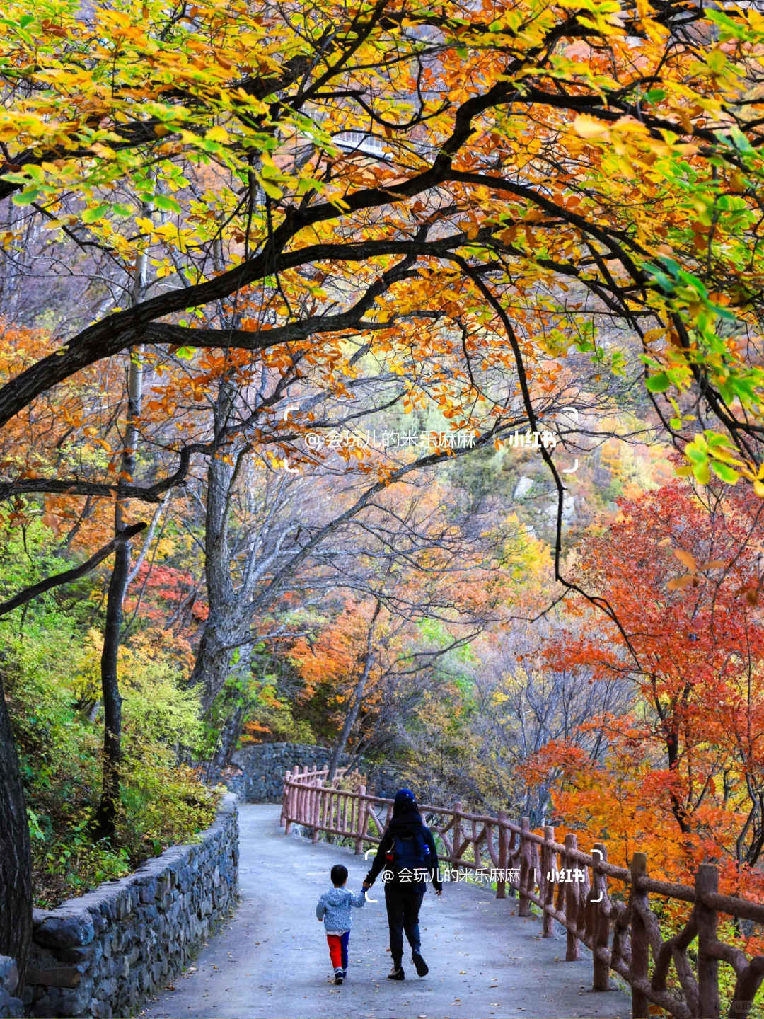 接下来北京不能错过的!亲子登山赏秋合集🍁