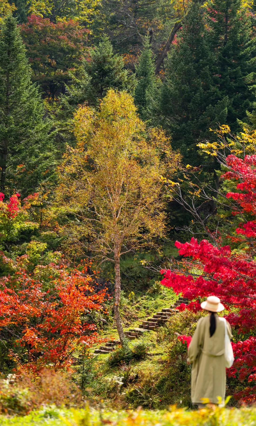全屏打开吉林此刻的秋天🍁
