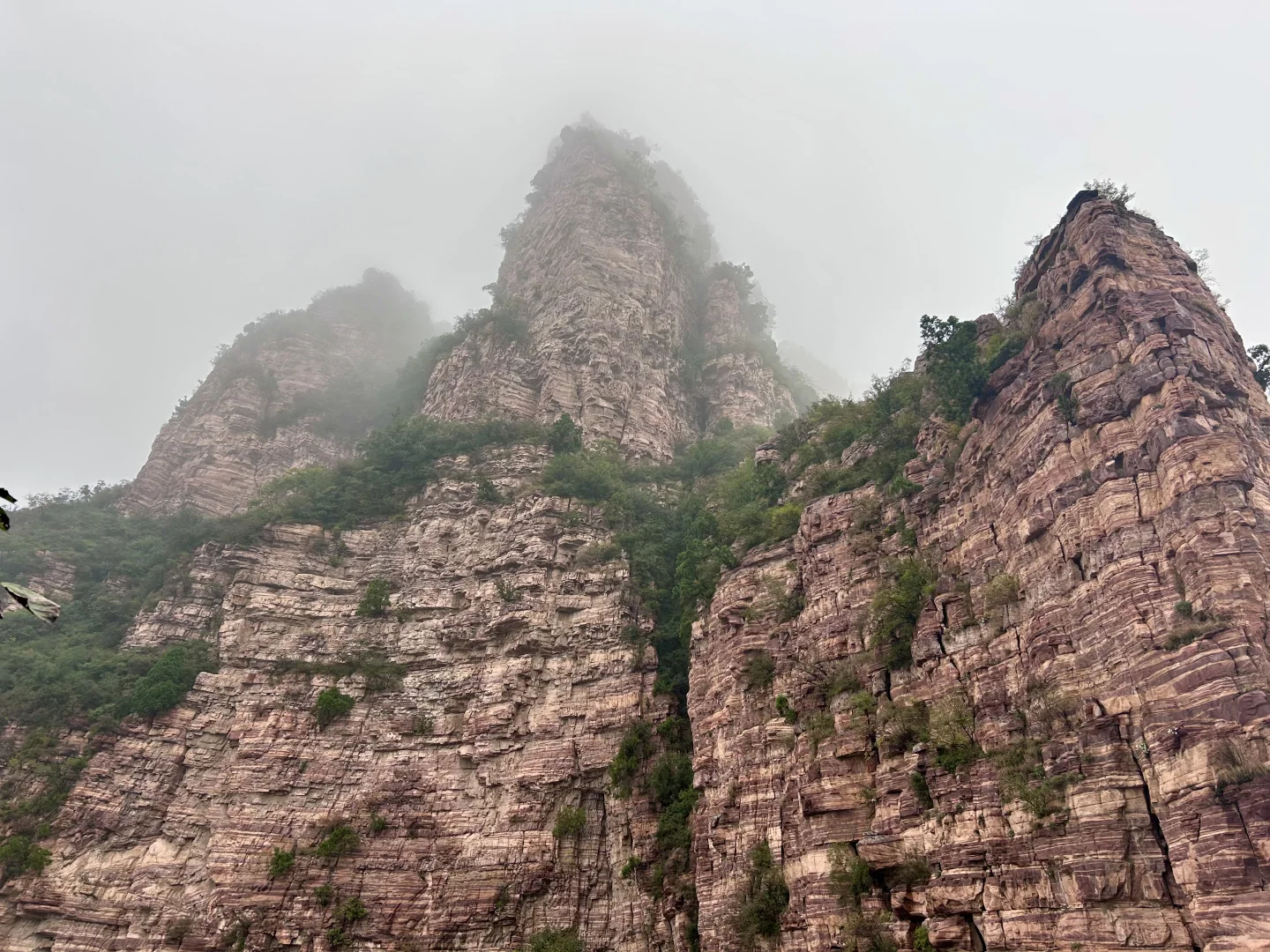 ⛰️武安·东太行｜在邯郸花的最值的一笔