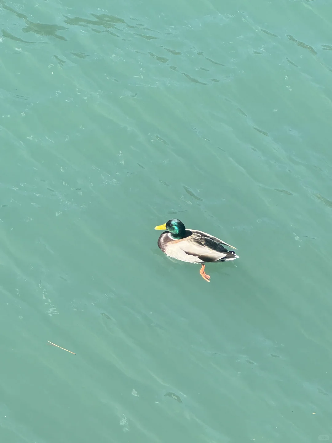 九寨沟第一天,讲真,根本不用过度追求攻略