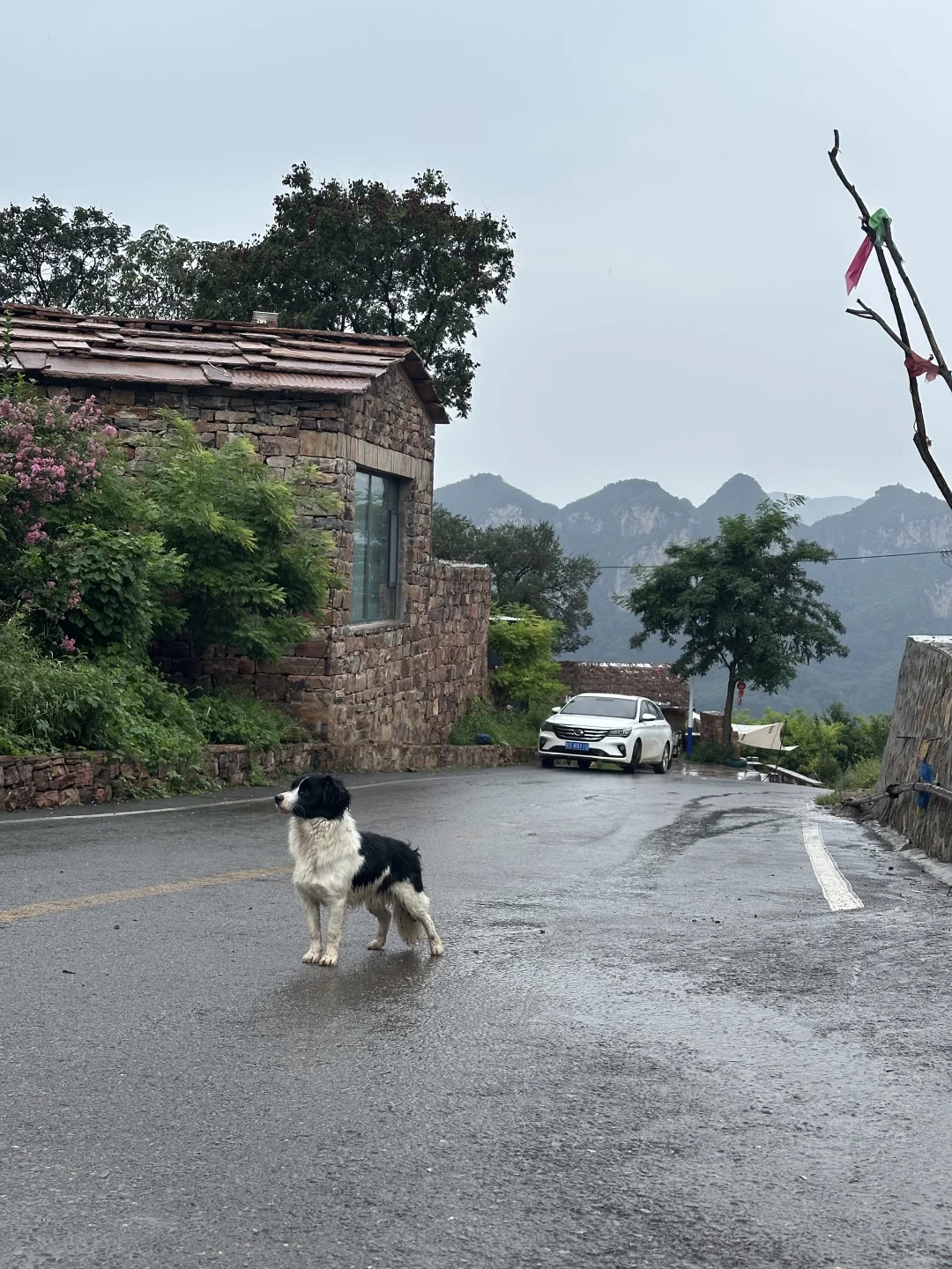 邯郸 藏在大山里的风景