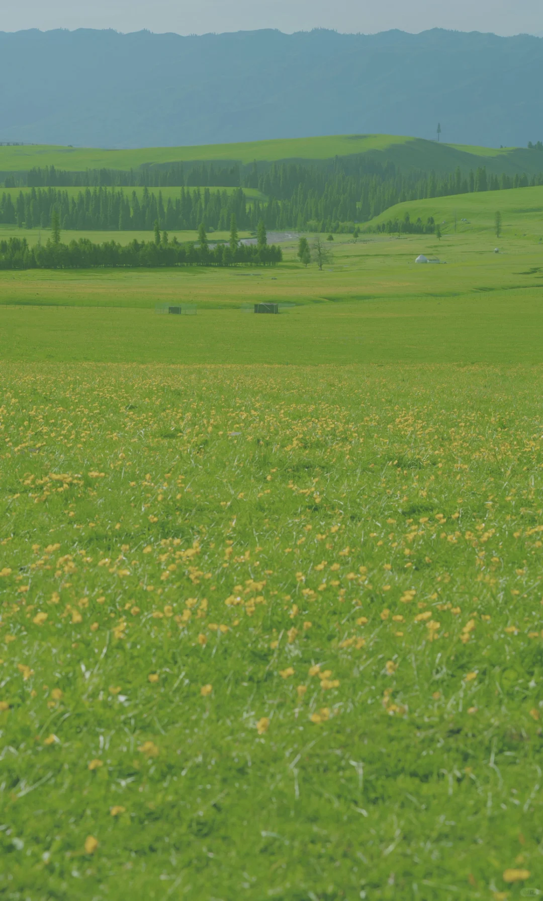 𝗴𝗿𝗲𝗲𝗻, 𝗯𝗹𝘂𝗲, 𝘆𝗲𝗹𝗹𝗼𝘄
