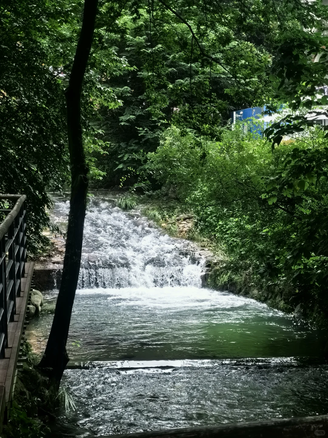 6.25的莫干山