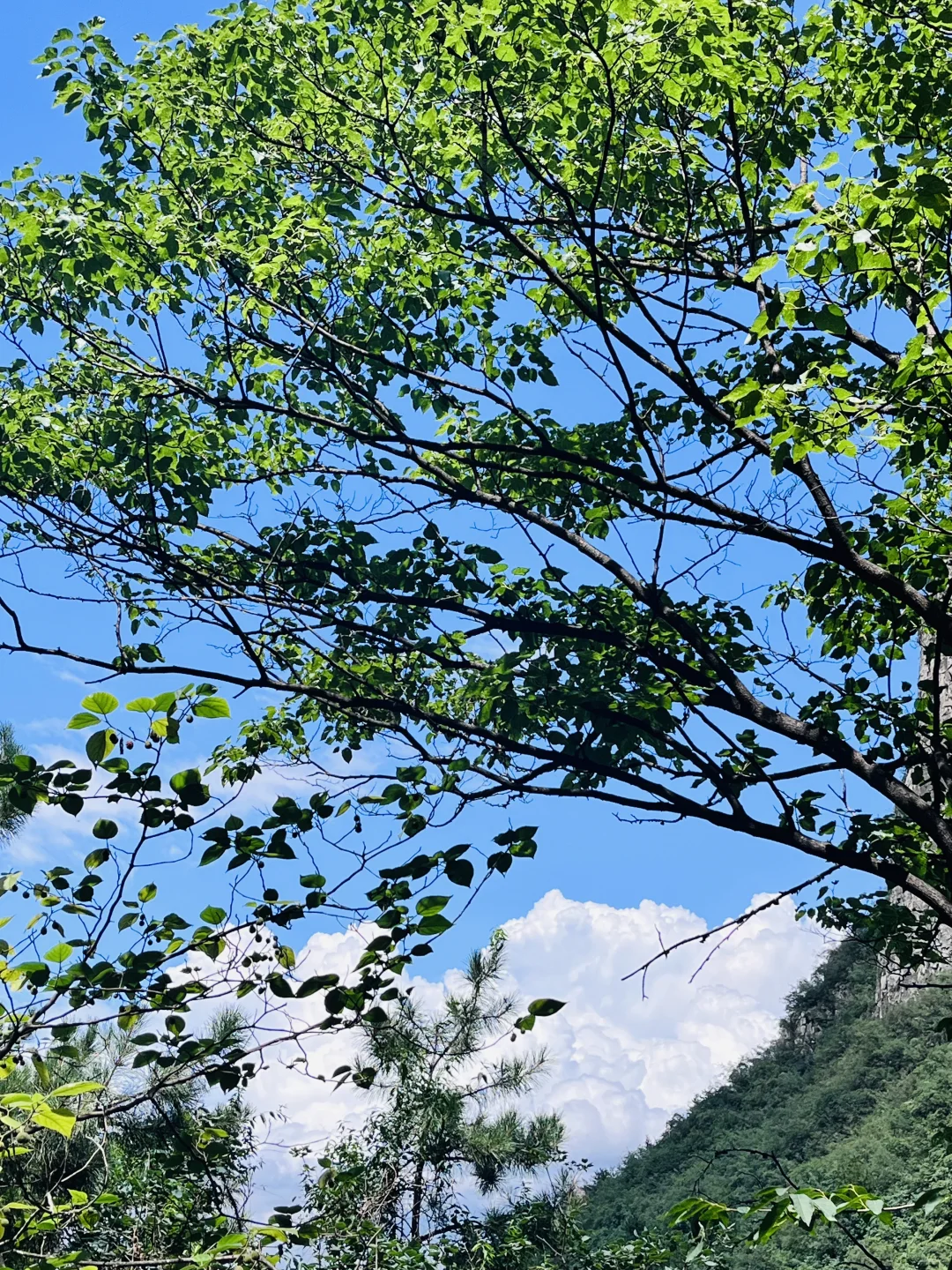 太行五指山