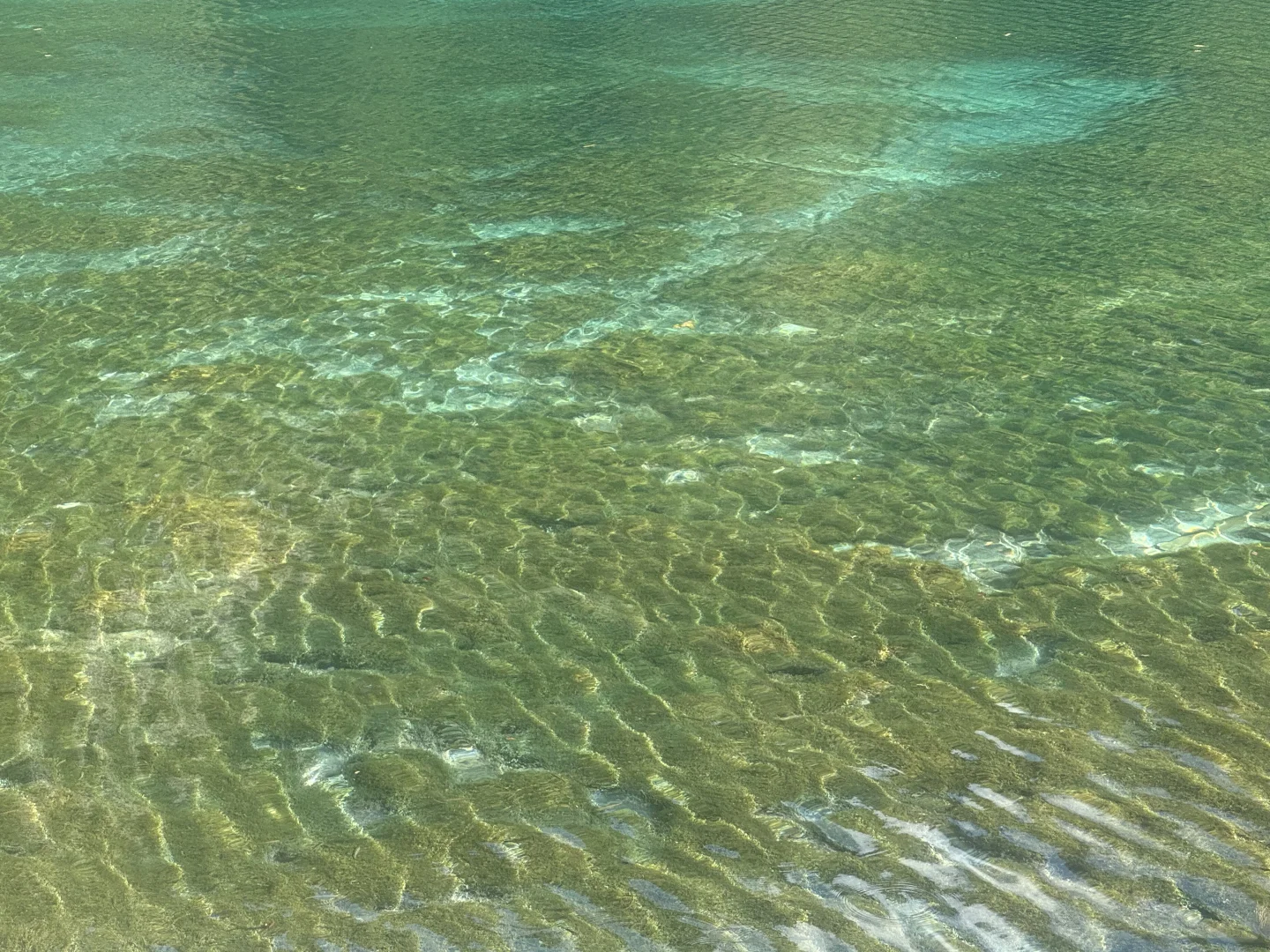 九寨沟第一天,讲真,根本不用过度追求攻略