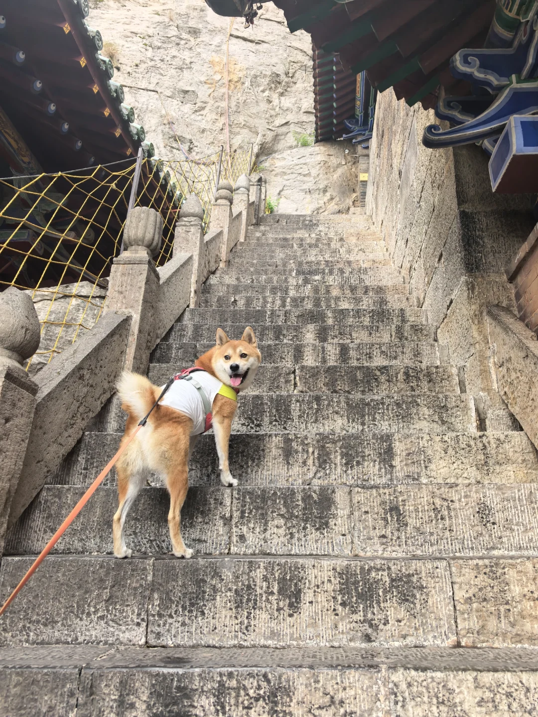 邯郸宠物友好景区【娲皇宫】