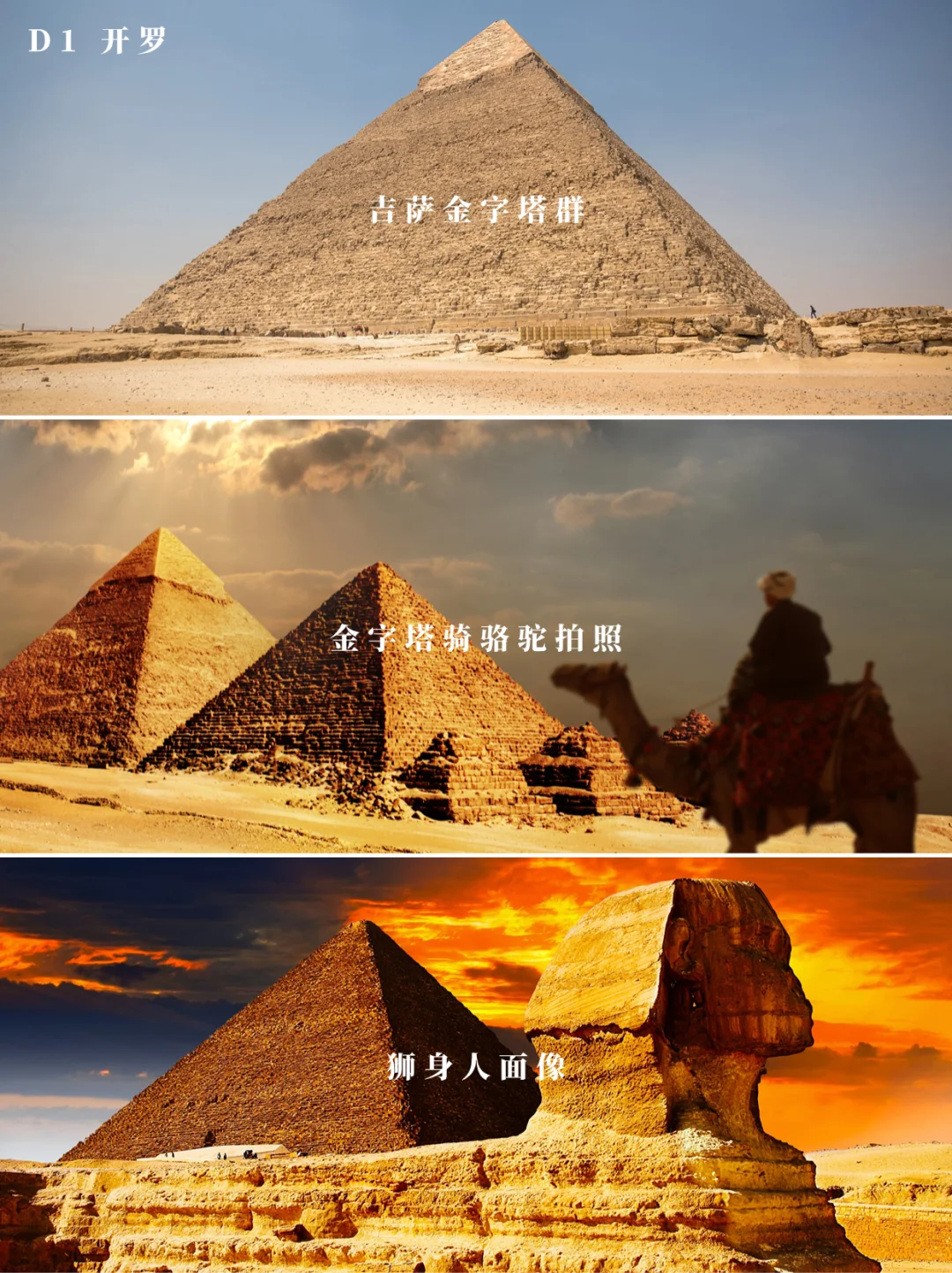 《花少》埃及也踩雷⁉️24h守着你，被骗算我输‼️