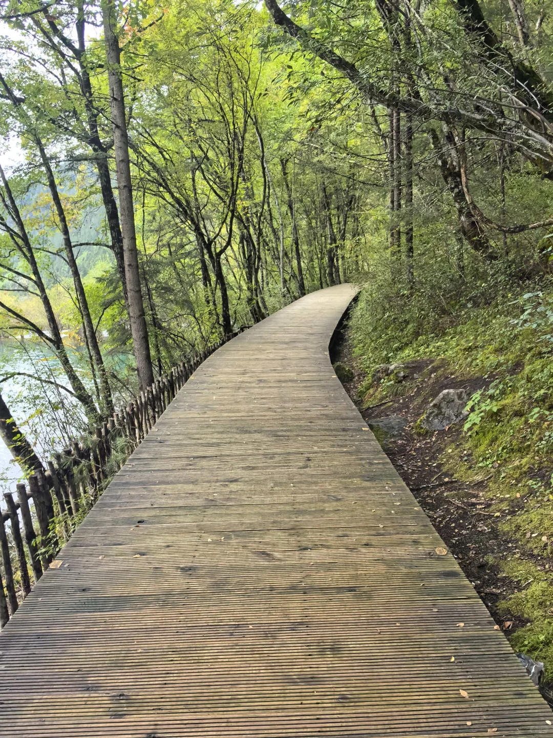 10.3九寨沟，有点让我不敢相信这人流量