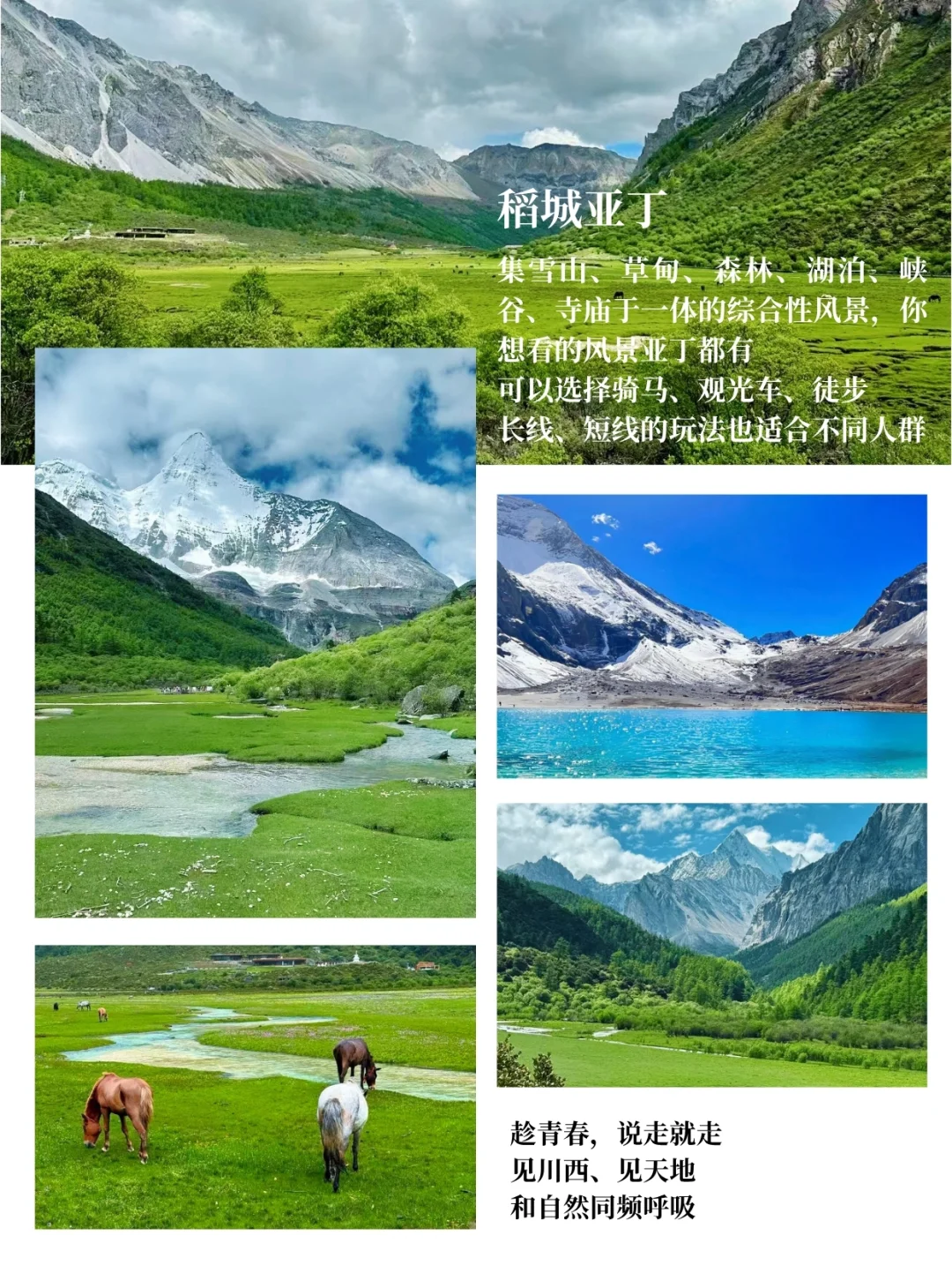 稻城亚丁四姑娘山纯玩5天，1k+解锁川西旅行