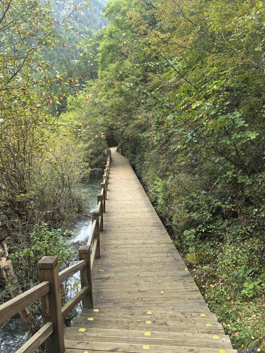 10.3九寨沟，有点让我不敢相信这人流量