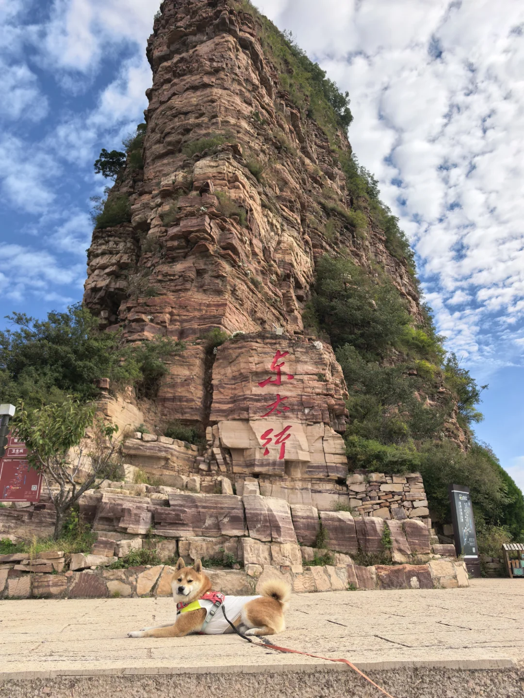 邯郸宠物友好景区·武安篇【七步沟+东太行】