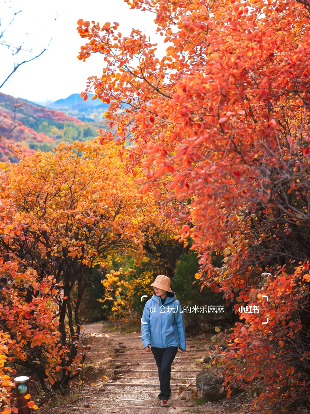 接下来北京不能错过的!亲子登山赏秋合集🍁